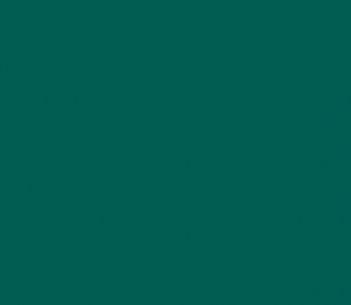 Лист гладкий  6026  0.50мм (1,25*2,0м)