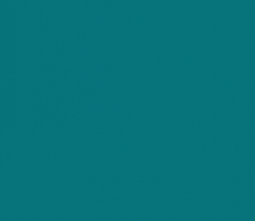 Лист гладкий  5021  0.50м (1,25*2,0м)