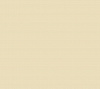 Лист гладкий  1015  0.50мм (1,25*2,0м)