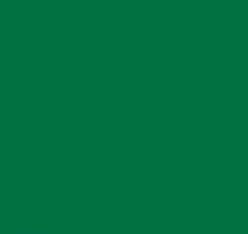 Лист гладкий  6029  0.50мм (1,25*2,0м)